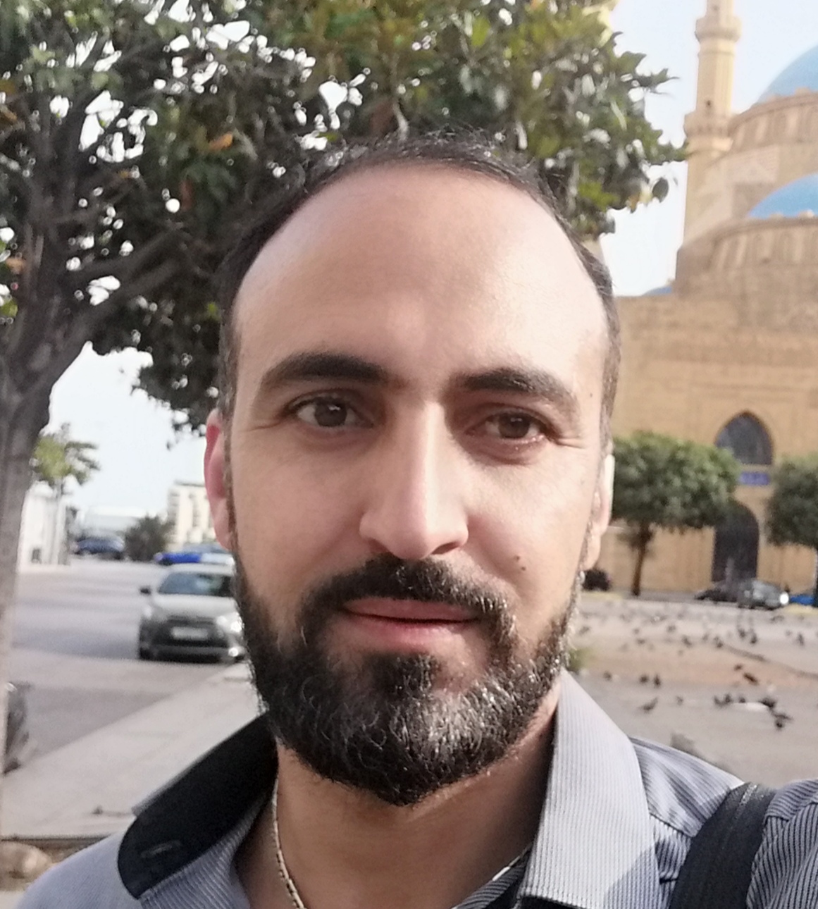 عادل اسماعيل