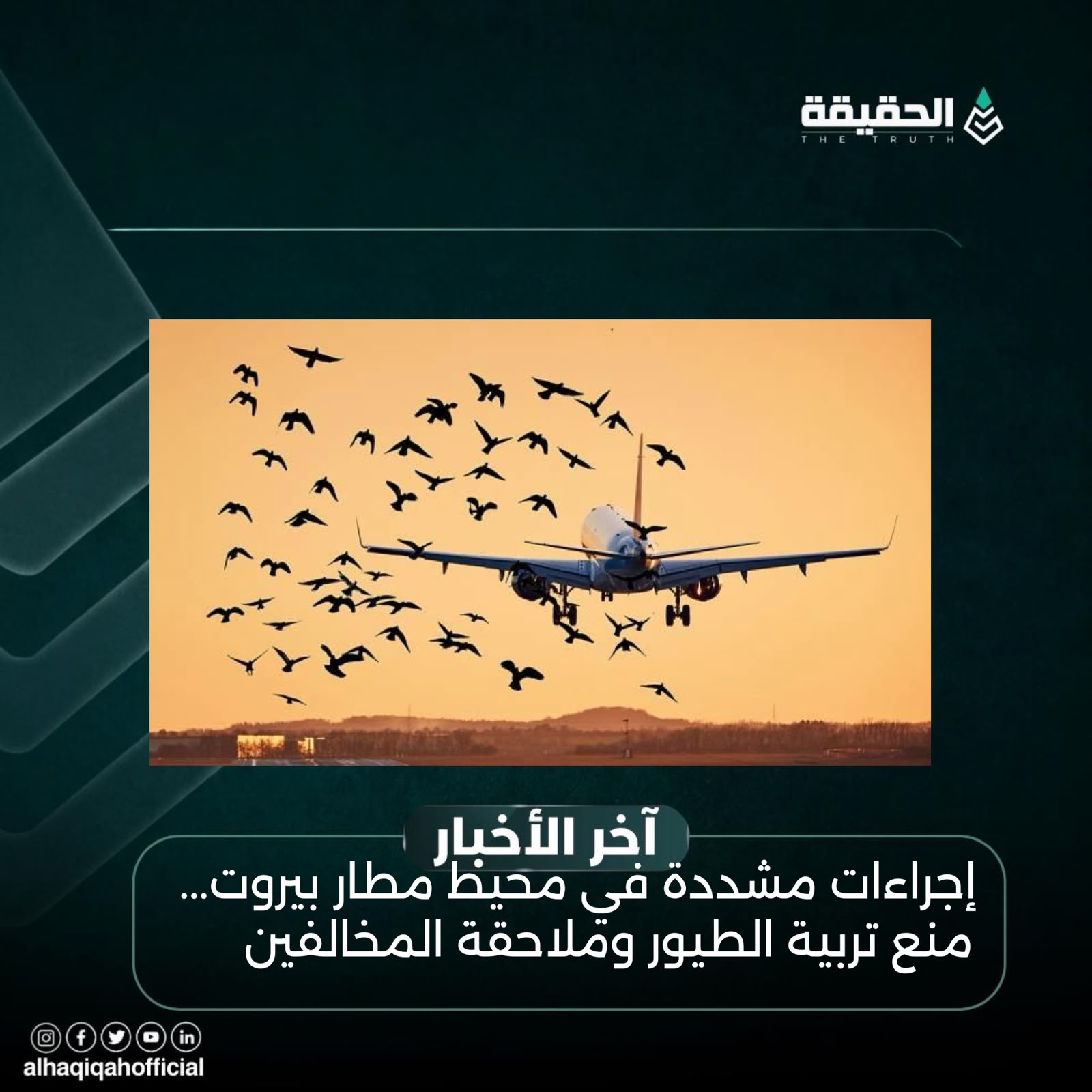 إجراءات مشددة في محيط مطار بيروت... منع تربية الطيور وملاحقة المخالفين